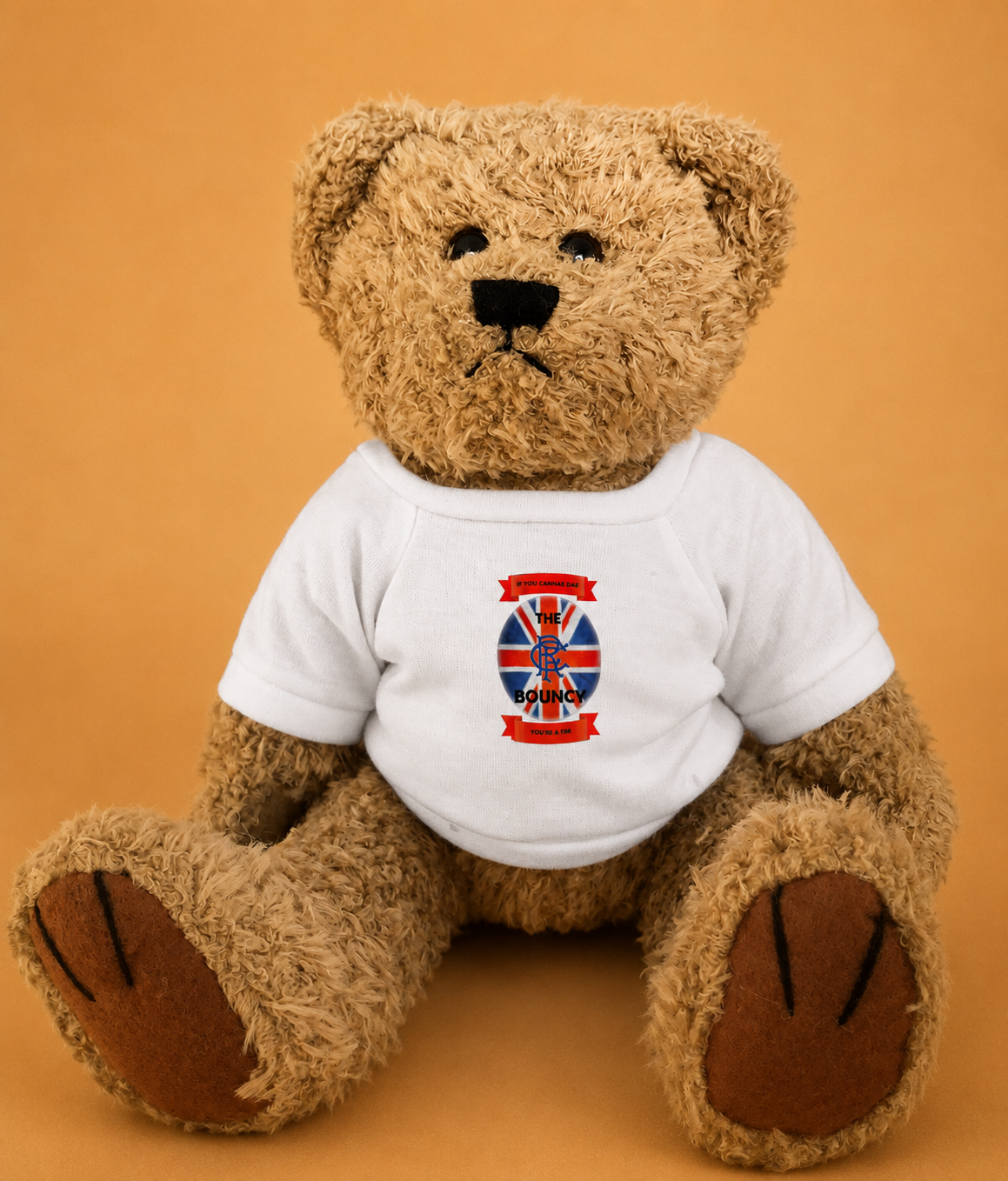 Teddy Bear 'If you cannae dae the bouncy you're a Tim' 20cm